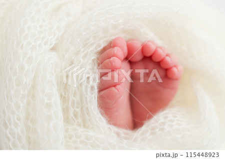 The tiny foot of a newborn baby. Soft feet of a new born in a wool white blanket. Close up of toes, heels and feet of a newborn. Macro photography. 115448923