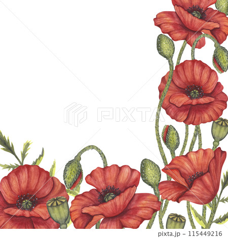 Red poppy flowers corner frame. Memorial Day, Anzac in Australia. Meadow wild blossom, field blooming. Hand drawn watercolor illustration isolated background. Template for invitations wedding festival Red poppy flowers corner frame. Memorial Day, Anzac in Australia. Meadow wild blossom, field blooming. Hand drawn watercolor illustration isolated background. Template for invitations wedding festival 115449216