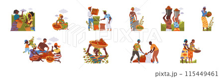 People Character Harvesting Coffee Picking Fresh Fruit in Basket Vector Set 115449461