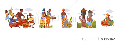 People Character Harvesting Coffee Picking Fresh Fruit in Basket Vector Set 115449462