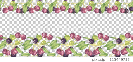 Seamless border of maqui berry and leaves in purple and green. Hand drawn watercolor illustration of Chilean wineberry cherry plant, Aristotelia chilensis for printing, food supplement, apparel, cards 115449735