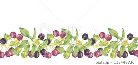 Seamless border of maqui berry and leaves in purple and green. Hand drawn watercolor illustration of Chilean wineberry cherry plant, Aristotelia chilensis for printing, food supplement, apparel, cards Seamless border of maqui berry and leaves in purple and green. Hand drawn watercolor illustration of Chilean wineberry cherry plant, Aristotelia chilensis for printing, food supplement, apparel, cards 115449736