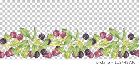 Seamless border of maqui berry and leaves in purple and green. Hand drawn watercolor illustration of Chilean wineberry cherry plant, Aristotelia chilensis for printing, food supplement, apparel, cards 115449736