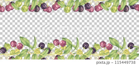 Seamless border of maqui berry and leaves in purple and green. Hand drawn watercolor illustration of Chilean wineberry cherry plant, Aristotelia chilensis for printing, food supplement, apparel, cards Seamless border of maqui berry and leaves in purple and green. Hand drawn watercolor illustration of Chilean wineberry cherry plant, Aristotelia chilensis for printing, food supplement, apparel, cards 115449738