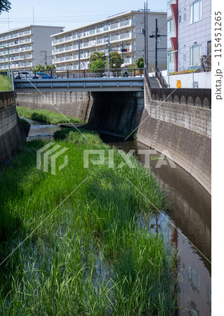 仙川の流れ 115451265