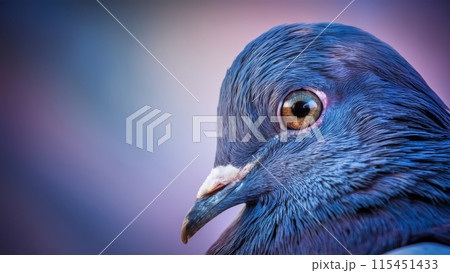 A close up of a blue bird with brown eyes and feathers, AI 115451433