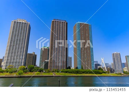 東京　中央区 佃　晴海運河沿いのタワーマンション 115451455