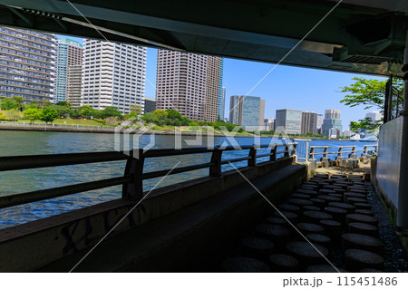 東京 江東区 晴海運河に浮かぶ 中の島公園 東京 江東区 晴海運河に浮かぶ 中の島公園 115451486
