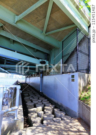 東京　江東区　晴海運河に浮かぶ 中の島公園 115451487