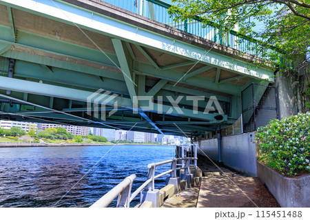 東京 江東区 晴海運河に浮かぶ 中の島公園 東京 江東区 晴海運河に浮かぶ 中の島公園 115451488