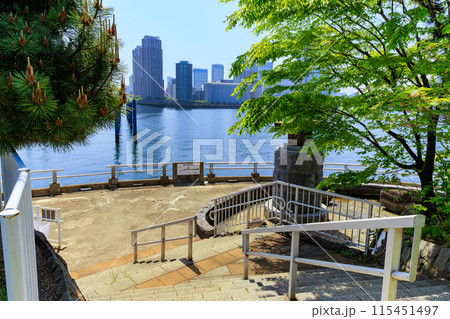 東京　江東区　晴海運河に浮かぶ 中の島公園 115451497