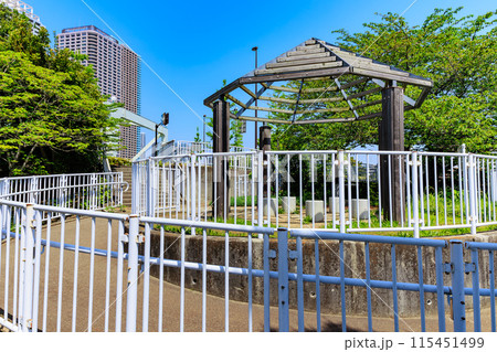 東京　江東区　晴海運河に浮かぶ 中の島公園 115451499