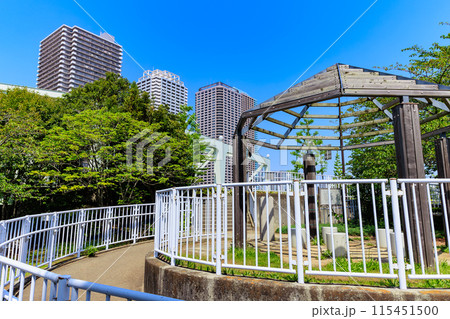 東京　江東区　晴海運河に浮かぶ 中の島公園 115451500