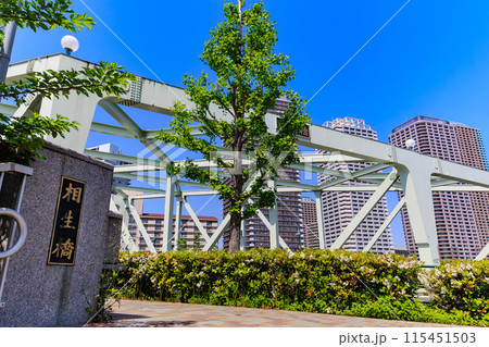 東京 中央区 佃 隅田川派川に架かる相生橋 東京 中央区 佃 隅田川派川に架かる相生橋 115451503