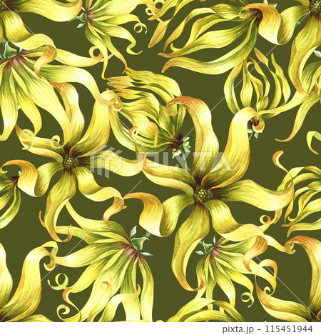 Seamless pattern with ylang-ylang flowers. A hand-drawn watercolor illustration. On a green background. For textiles, wallpapers and backgrounds. For packaging paper and label, printing and decoration Seamless pattern with ylang-ylang flowers. A hand-drawn watercolor illustration. On a green background. For textiles, wallpapers and backgrounds. For packaging paper and label, printing and decoration 115451944