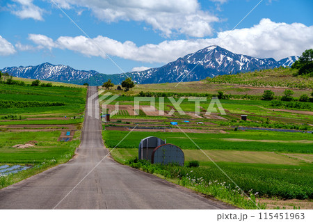 越後駒ヶ岳と一本道 115451963