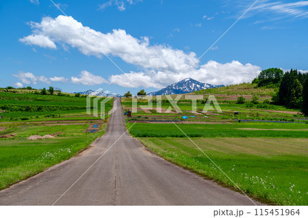 越後駒ヶ岳と高原 115451964