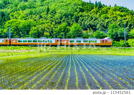 伯備線 特急やくも　新緑の水田を走る273系（根雨－黒坂） 115452561