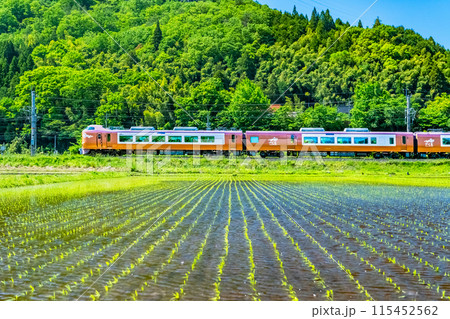 伯備線 特急やくも　新緑の水田を走る273系（根雨－黒坂） 115452562
