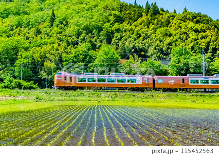 伯備線 特急やくも　新緑の水田を走る273系（根雨－黒坂） 115452563