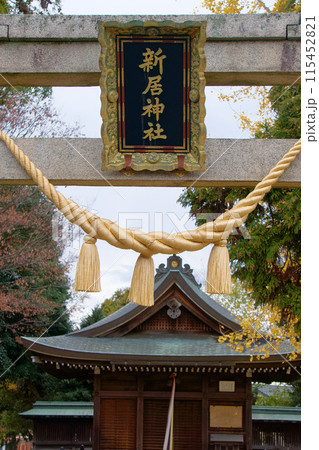 神社の額と鳥居の奥にある拝殿 【新居神社】 神社の額と鳥居の奥にある拝殿 【新居神社】 115452821