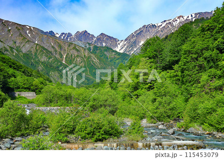 白馬村北城八方から北アルプスの眺望 115453079