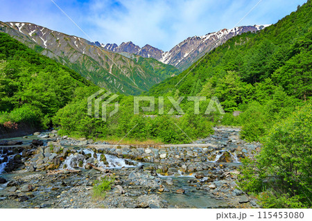 白馬村北城八方から北アルプスの眺望 115453080