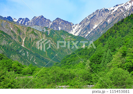 白馬村北城八方から北アルプスの眺望 115453081