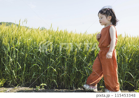 ムギ畑に立つかわいい女の子 115453348