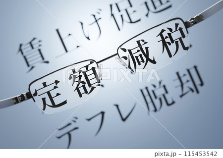 メガネの向こうに見える「定額減税」の文字 / 経済政策・デフレ脱却のコンセプトイメージ 115453542