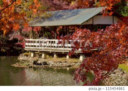 名古屋市東山動植物園 也有園の紅葉 名古屋市東山動植物園 也有園の紅葉 115454861