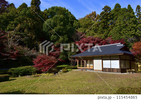 名古屋市東山動植物園　也有園宗節庵の紅葉 115454865