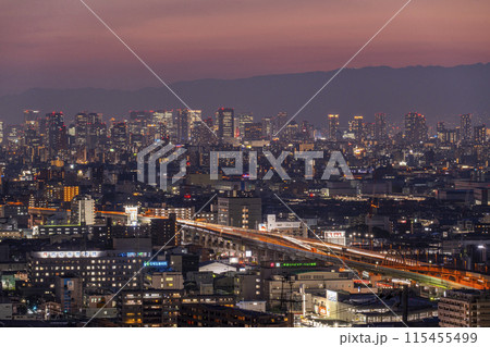 大阪　枚岡公園から望む大阪平野　日没〜夜景 115455499