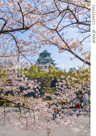 【春の大阪城公園】大阪城天守閣と桜 【春の大阪城公園】大阪城天守閣と桜 115455541