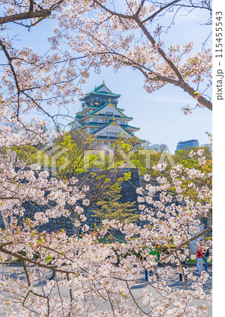 【春の大阪城公園】大阪城天守閣と桜 【春の大阪城公園】大阪城天守閣と桜 115455543