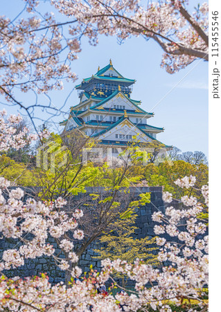 【春の大阪城公園】大阪城天守閣と桜 115455546