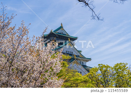 【桜】春の大阪城公園【大阪城天守閣】 115455589