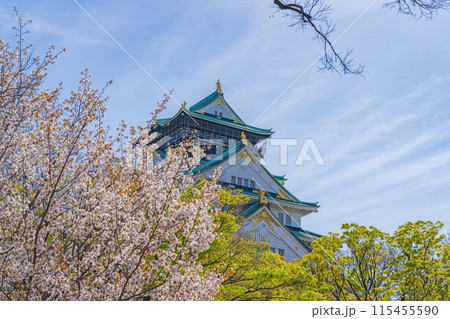 【桜】春の大阪城公園【大阪城天守閣】 【桜】春の大阪城公園【大阪城天守閣】 115455590
