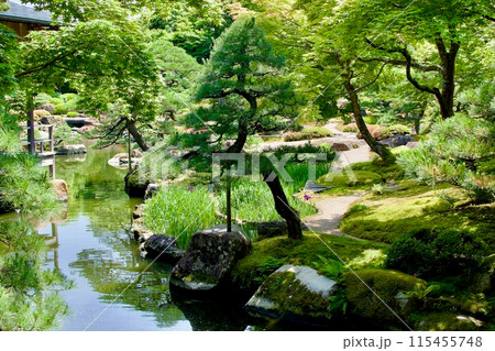 池のある日本庭園 115455748