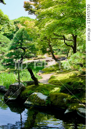 池のある日本庭園 池のある日本庭園 115455750