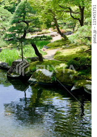 池のある日本庭園 115455751