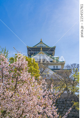 【桜】春の大阪城公園【大阪城天守閣】 115455761