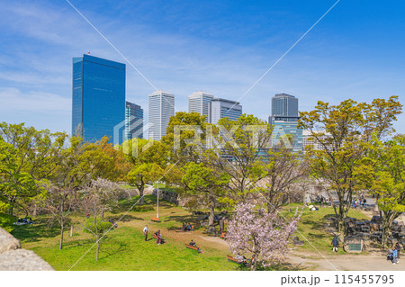 【桜】春の大阪城公園から見えるOBPのビル群 【桜】春の大阪城公園から見えるOBPのビル群 115455795