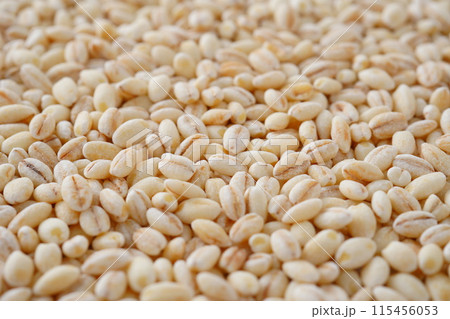もち麦 115456053