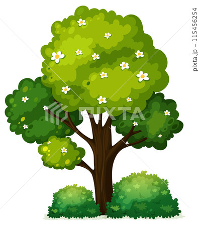 Blooming Tree with Green Foliage 115456254