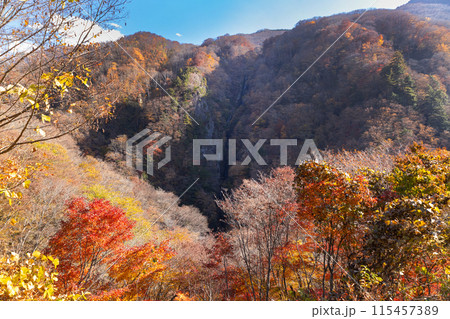 松川渓谷　八滝展望台からの風景 115457389