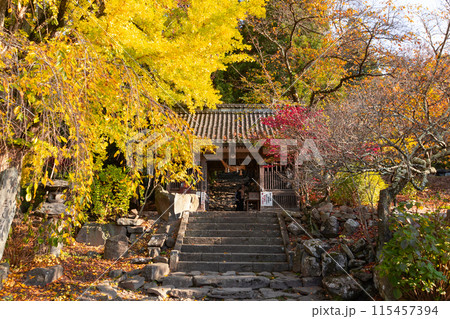 長野県小布施町 雁田薬師 浄光寺 長野県小布施町 雁田薬師 浄光寺 115457394