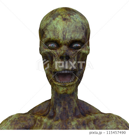 男性ゾンビの顔 115457490