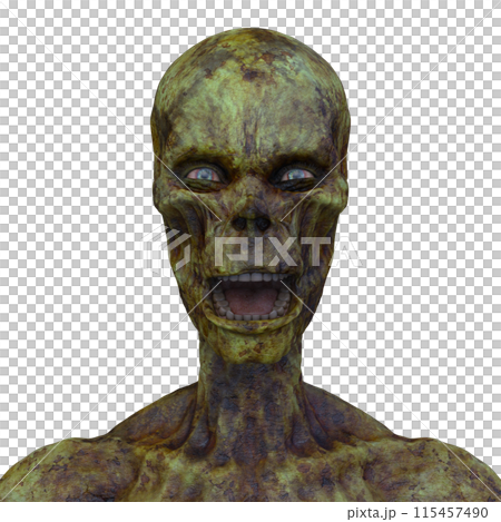 男性ゾンビの顔 115457490