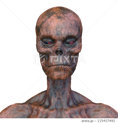 男性ゾンビの顔 男性ゾンビの顔 115457491